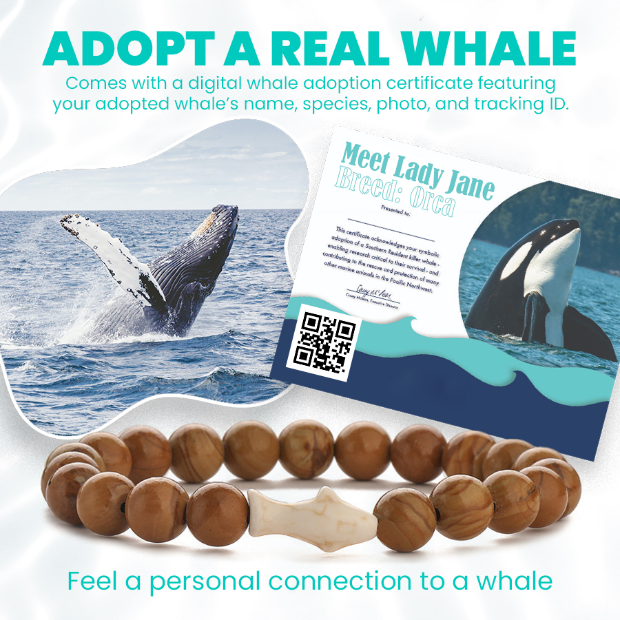 Whale Adoption Bracelet
