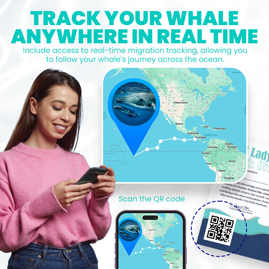 Whale Adoption Bracelet