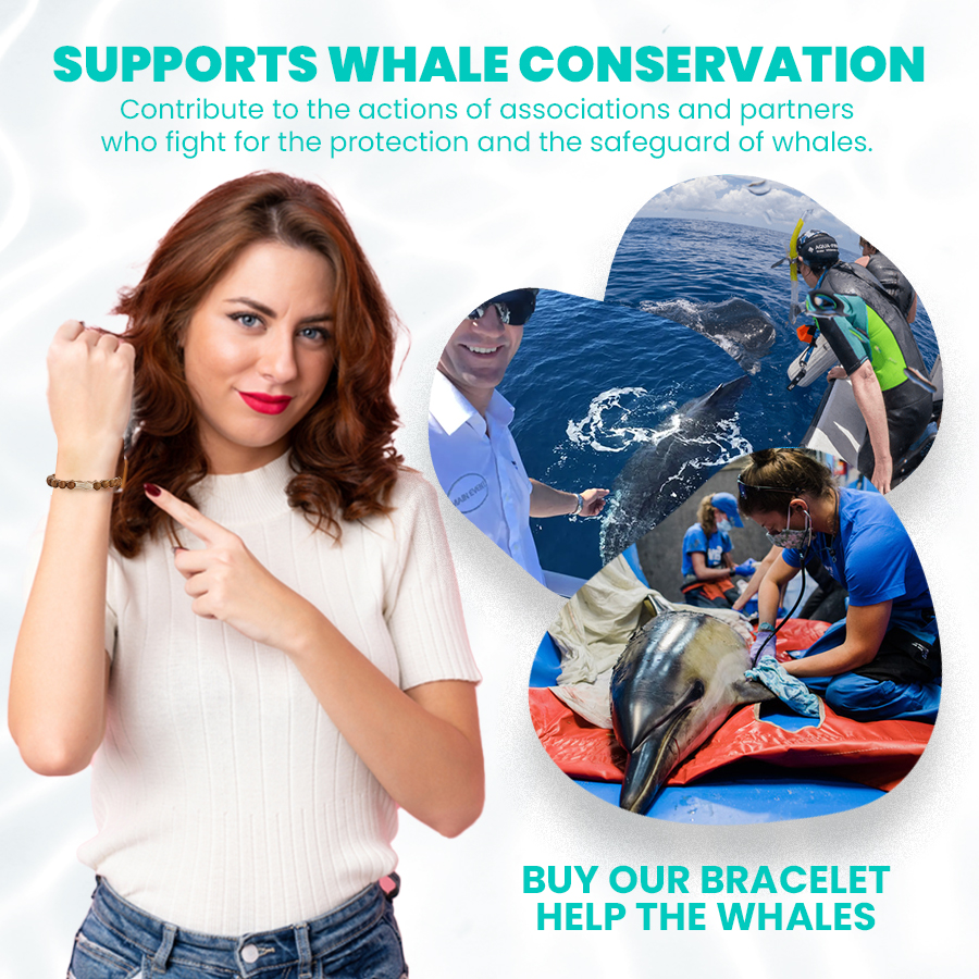 Whale Adoption Bracelet