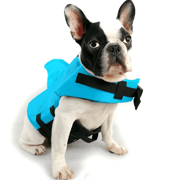 Dog Life Vest Shark- Keep Your Pet Safe and Stylish in the Water!